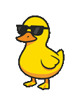 Peekinduck walking duck logo