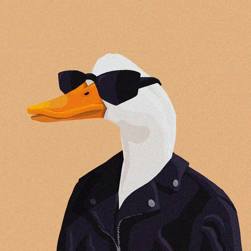 Guide Goose